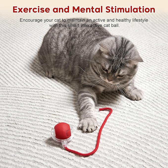 Interactive Cat Toy Dog Toy, Electric Automatic Rolling Moving Toys, Self Activated Play Smart Rolling Ball for Cats & Dogs, Chase Teaser Pet Ball for Bored Indoor Cats/Kittens/Dogs, Rechargeable-Mewly Pet