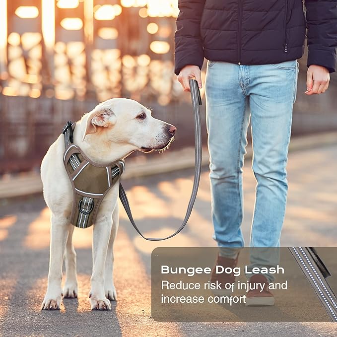 No Pull Dog Harness for Small Dogs, Adjustable No Choke Pet Vest with Dog Leash Fit Smart Reflective Pet Walking Harness for Training Easy Control Soft Handle Brown S-Mewly Pet