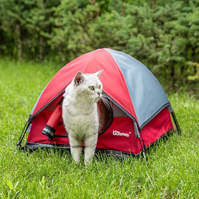 GDanes Cat House Portable Indoor/Outdoor Red Cat Tent for Cats and Small Dogs with Soft Pad-Mewly Pet