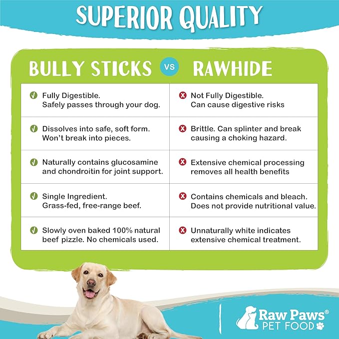 Raw Paws Standard Bully Sticks for Small Dogs, 6-Inch (10 Count) - Low Odor Junior Bully Chews - Free-Range Pizzle Sticks for Dogs - Single Ingredient Dog Chews - Rawhide Alternative - Long Lasting-Mewly Pet