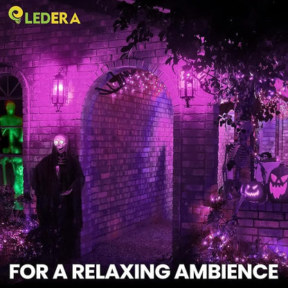 LED Purple Light Bulb, 40W Equivalent LED A15 Bulb, E26 Medium Base Bulb for Halloween, Christmas, Party, Bar, Holiday Lighting, Non-Dimmable, 2 Packs