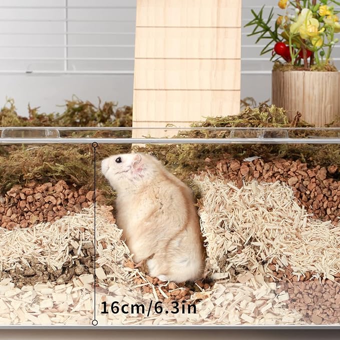 BUCATSTATE Hamster Cage 3-Level with Accessories, Includes Free Exercise Wheel, Water Bottle, Food Bowl & Hamster Hideout, Large Hamster Cage for Dwarf Hamster, Mice, Degus (24.4" L*13.7 "W*16.9" H)-Mewly Pet