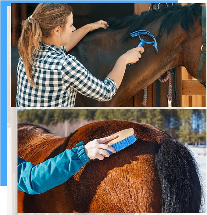 Abbylike 12 Pieces Horse Grooming Kit Racing Festival Tack Room Supplies Horse Brush Sets Equine Care Cleaning Kit Shedding Grooming Massaging Tools(Blue)-Mewly Pet
