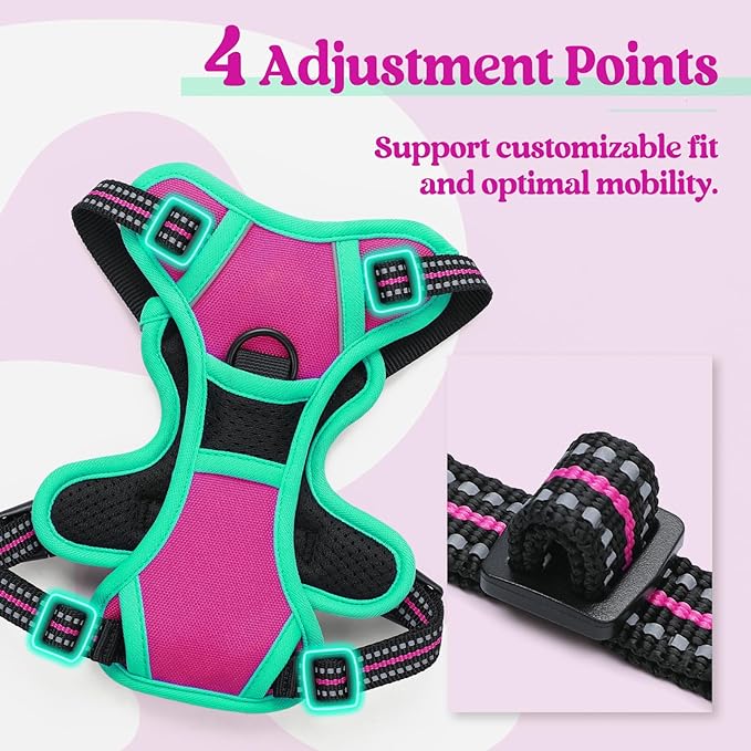 rabbitgoo Dog Harness No Pull with 2 Leash Clips, Adjustable Soft Padded, Reflective Oxford No Choke Pet Vest with Easy Control Handle for Large Dogs, Hot Pink & Turquoise, XS-Mewly Pet