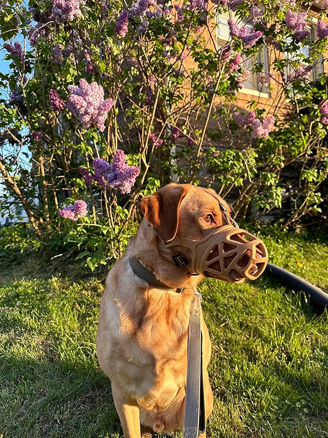 Mayerzon Dog Muzzle, Breathable Basket Muzzles for Small, Medium, Large and X-Large Aggressive Dogs Beagle German Shepherd Doberman, Cage Mouth Guard Stop Biting Chewing for Grooming Training-Mewly Pet