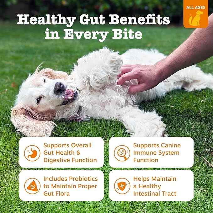 Zesty Paws Probiotics for Dogs, Digestive Enzymes Gut Flora, Digestive Health, Diarrhea & Bowel Support, DE111, Dog Probiotics Soft Chew for Pet Immune System, Chicken, 90 Ct-Mewly Pet