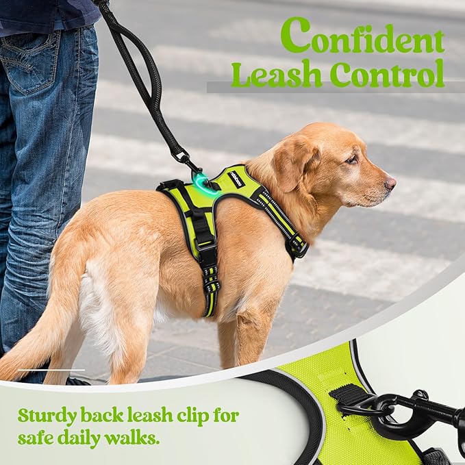 rabbitgoo Dog Harness No Pull with 2 Leash Clips, Adjustable Soft Padded, Reflective Oxford No Choke Pet Vest with Easy Control Handle for Large Dogs, Green, XL-Mewly Pet