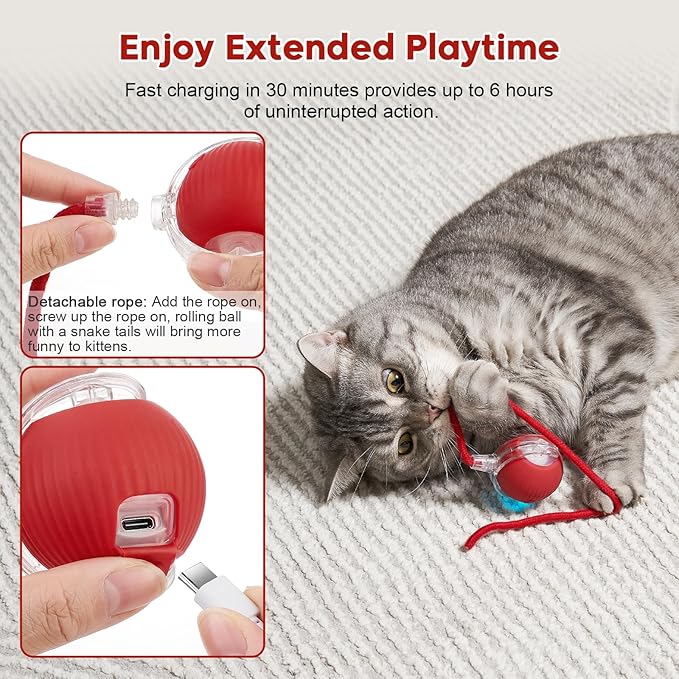 Interactive Cat Toy Dog Toy, Electric Automatic Rolling Moving Toys, Self Activated Play Smart Rolling Ball for Cats & Dogs, Chase Teaser Pet Ball for Bored Indoor Cats/Kittens/Dogs, Rechargeable-Mewly Pet