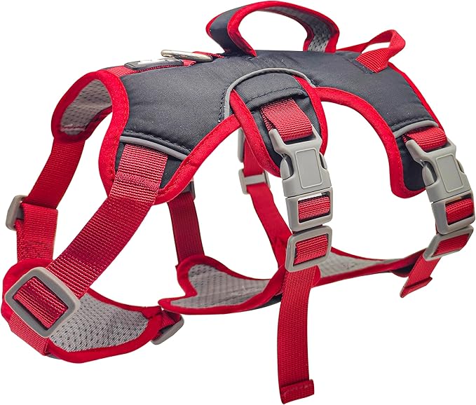Escape Proof Dog Harness, No Pull Reflective Adjustable Vest with Easy Control Lift Handle, No Choke Soft Padded Breathable Full Body Pet Harness for Walking Hiking and Training (Red, Small)-Mewly Pet
