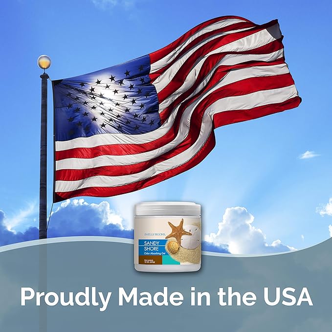 SMELLS BEGONE Air Freshener Odor Absorber Gel - 15 oz, Pack of 2 - Absorbs and Eliminates Odor in Pet Areas, Bathrooms, Cars, & Boats - Made with Essential Oils - Sandy Shore Scent-Mewly Pet