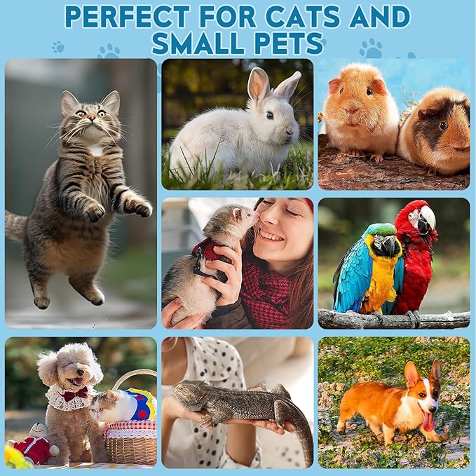 Cat Nail Clippers, Professional Pet Claw Clippers for Indoor Cats, Kittens, Small Dogs, Puppys, Birds, Rabbits, Safe Nail Trimmer and Grooming Tools for Small Animals Home Pets-Mewly Pet