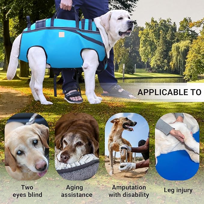 Dog Lift Harness Backpack Carrier for Large Dogs, Full Body Sling with Handle, Dog Harness for Joint Injuries, Arthritis, Ideal for Stairs, Elderly Dogs (Blue XX-Large 50-66 LBS)-Mewly Pet