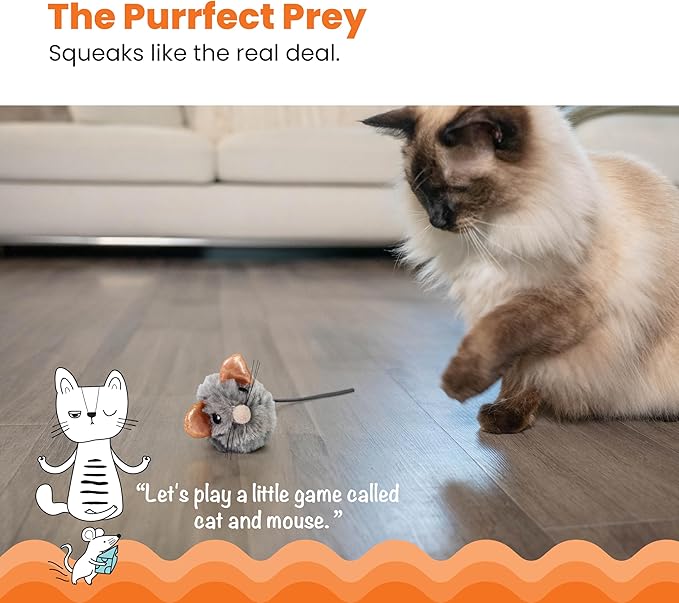 Catstages Squeak Squeak Mouse Cat Toy with Touch-Activated Sound & Catnip, Gray-Mewly Pet