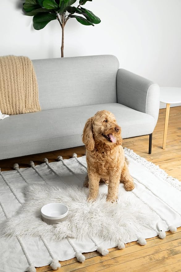 Waggo Dipper Ceramic Dog Bowl for Small and Large Breeds - Heavyweight and Durable Pet Food and Water Dish Crock, Dishwasher Safe, Modern (Rose, Medium)-Mewly Pet