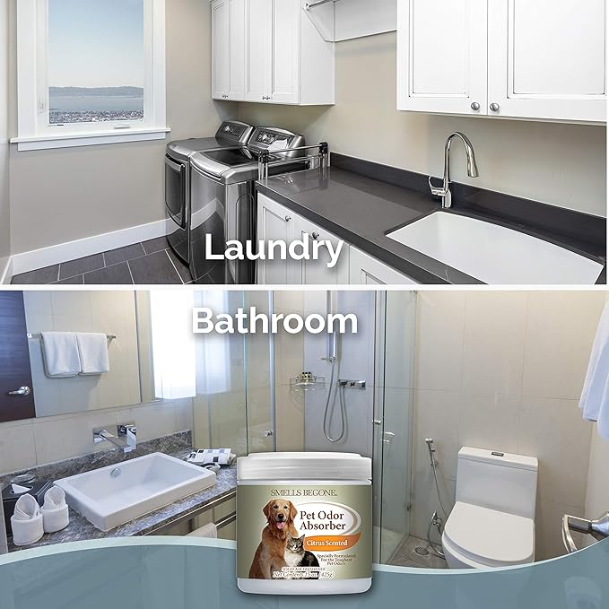 SMELLS BEGONE Air Freshener Pet Odor Absorber Gel - 15 oz, Pack of 2 - Absorbs and Eliminates Odor in Pet Areas, Bathrooms, Cars, & Boats - Made with Essential Oils - Citrus Scent-Mewly Pet