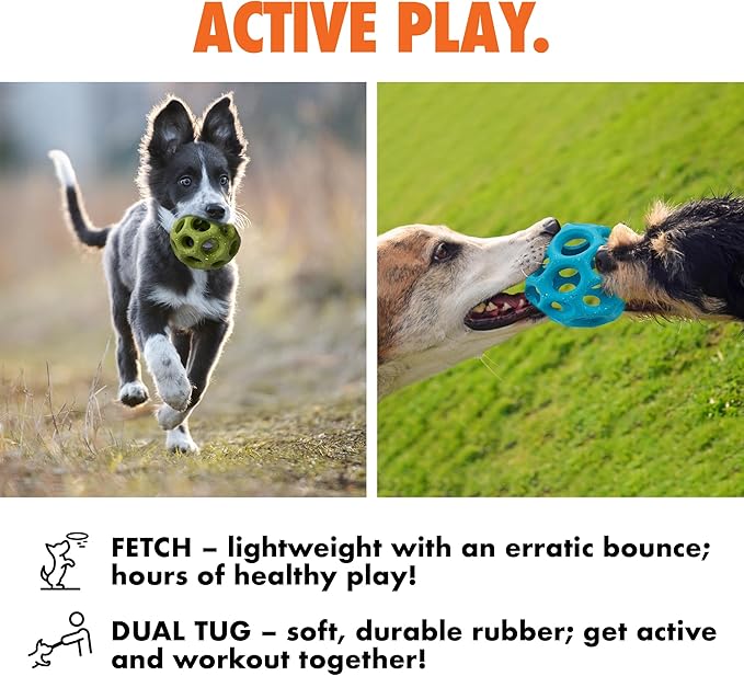 Max Fusion with Nike Grind, Arlee Helix Dog Toy, Chew Toy for Play, Fetch, Tug, S-Mewly Pet