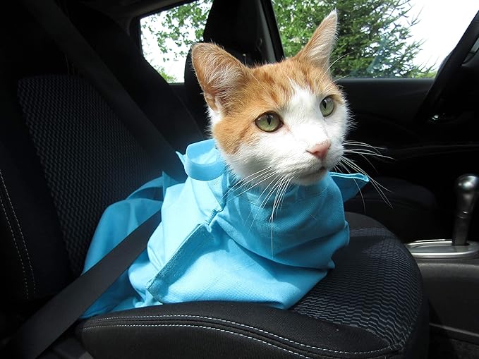 Cozy Comfort Carrier - Large Green Cat Carrier, Cat Holder for Cutting Nails, & Cat Carrier Pouch for Vet Visits, Medication Administration, Dental Care, & Travel-Mewly Pet