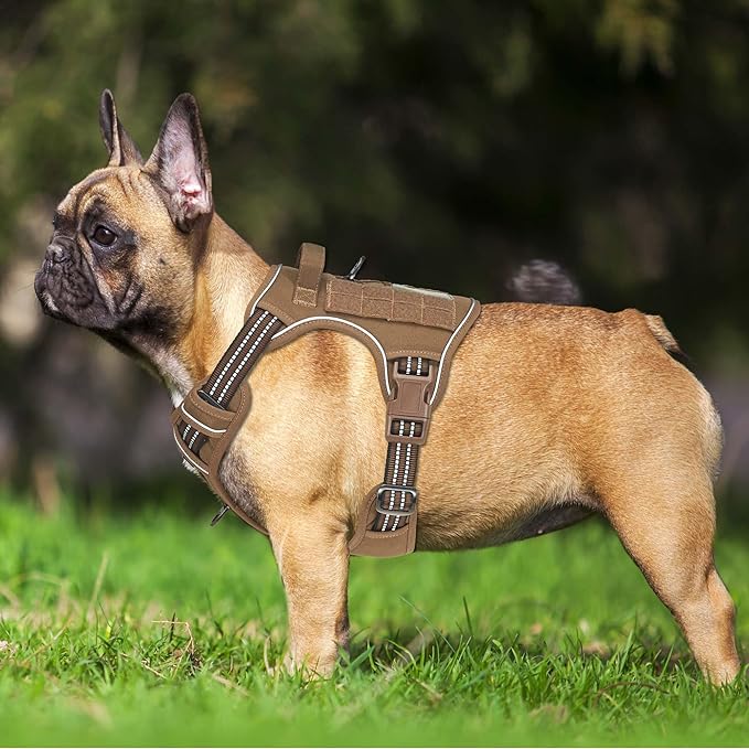 Heavy Duty Tactical Dog Harness for Medium Dogs, Brown, Molle System, Four-point Adjustment, Anti-lost ID Tag, Includes 5ft Leash-Mewly Pet