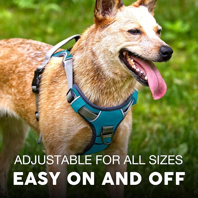 Embark Adventure Dog Harness, No-Pull Reflective Trim Dog Harness for Small, Medium & Large Dogs - Military Grade Nylon, 2 Leash Clips & Gel Lined Handle. Soft & Padded Puppy Dog Vest for Any Breed-Mewly Pet