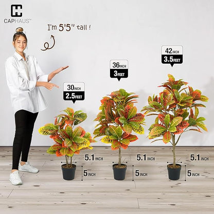 Fencer Wire 42 Inch Artificial Topiary Croton Tree, UV Resistant Artificial Outdoor Plants, Faux Bushes and Shrub, Fake Trees in Pot with Dried Moss, Artificial Plants for Front Porch, Indoor, Outdoor