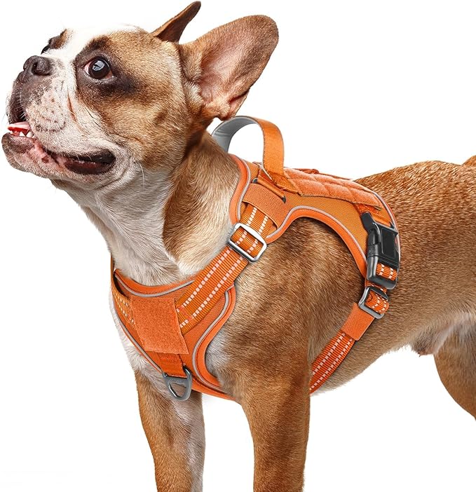 rabbitgoo Dog Harness Small Sized No Pull, Tactical Service Pet Vest with Molle and Control Handle, Adjustable and Reflective Military Harness for Easy Walking and Training, Orange, S-Mewly Pet