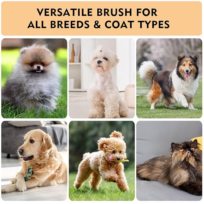 Dog Slicker Brush for Shedding & Grooming - Professional Dog Brush and Cat Brush with Coated Tips & Air-Cushion Design, Deshedding Tool Removes Undercoat Tangles & Loose Fur for Long/Short Hair Pets-Mewly Pet