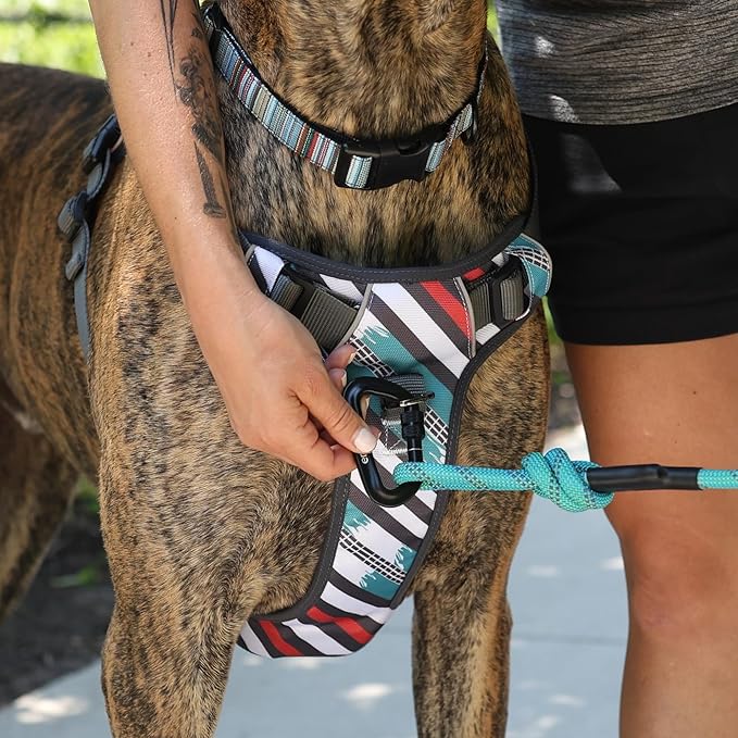 Embark Adventure Dog Harness, Reflective Trim No Pull Dog Harnesses for Small Sized Dogs - Military Grade Nylon, Front Clip with Gel Lined Handle.-Mewly Pet