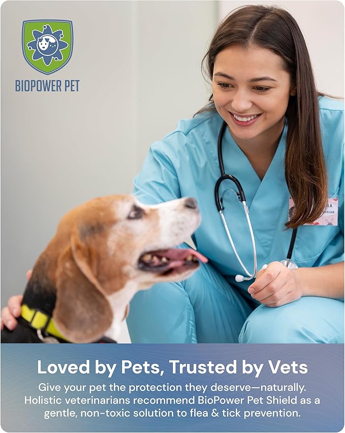 Natural Flea & Tick Repellent Collar Tag for Dogs & Cats – BioPower Pet Shield – Safe for Pets When Used as Directed – Lasts 1 Full Year - Regular Tag (3Pack)-Mewly Pet