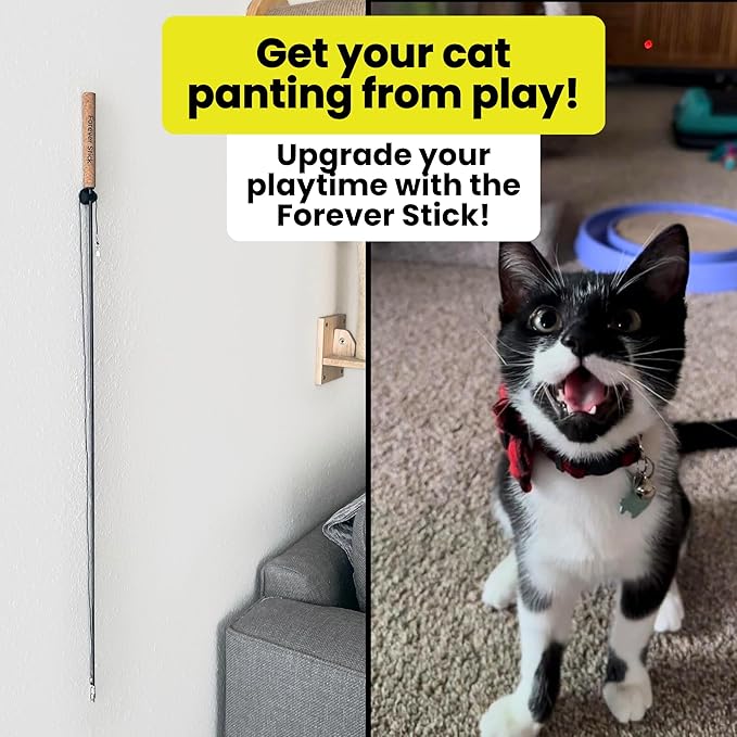 Forever Stick 2 Pack - The Unbreakable Cat Toy Wand, Extra Long Durable Interactive Cat Toy for Indoor Cats, Feather Kitten Toys for Bored Indoor Adult Cats, Bird Teaser Cat Accessories-Mewly Pet