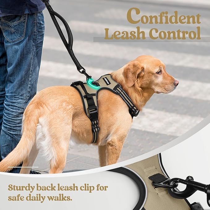 rabbitgoo Dog Harness No Pull with 2 Leash Clips, Adjustable Soft Padded, Reflective Oxford No Choke Pet Vest with Easy Control Handle for Large Dogs, Beige, L-Mewly Pet