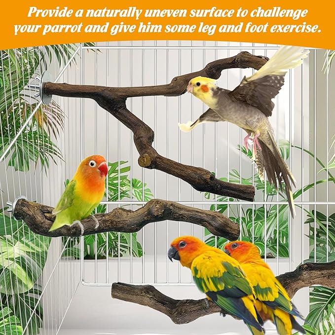 kathson 3pcs Natural Parrot Perch for Cage Wooden Bird Perches Grape Bird Stick Parakeet Climbing Standing Branches Toy Chewable Cage Accessories for Small Budgies Cockatiels Lovebirds Budgies-Mewly Pet