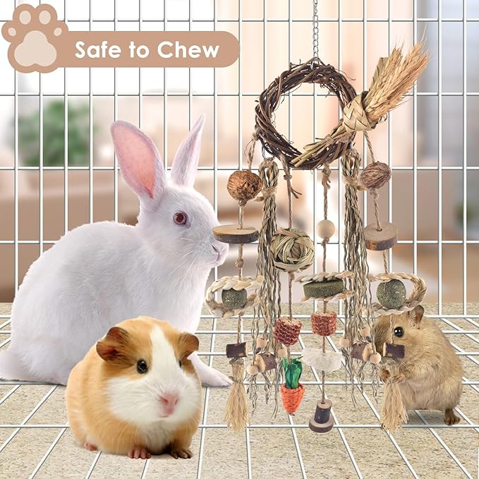 Bissap Bunny Chew Toy, Rabbits Cage Hanging Chew Toys and Treats Rattan Ring with Snacks Water Grass Wooden Block Carrot for Guinea Pigs Chinchillas Hamsters Rats and Other Small Pets Teeth Grinding-Mewly Pet