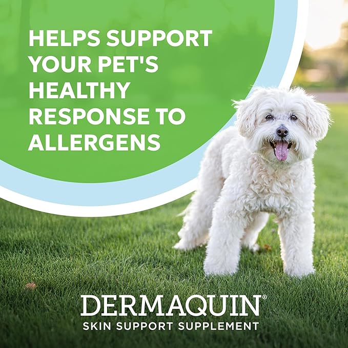 Nutramax Dermaquin Skin Support Supplement for Small to Medium Dogs and Cats, Supports Healthy Response to Allergens, with Hardy Kiwi, Omega-3s, and More, Tasty Soft Chews, 60 Count-Mewly Pet