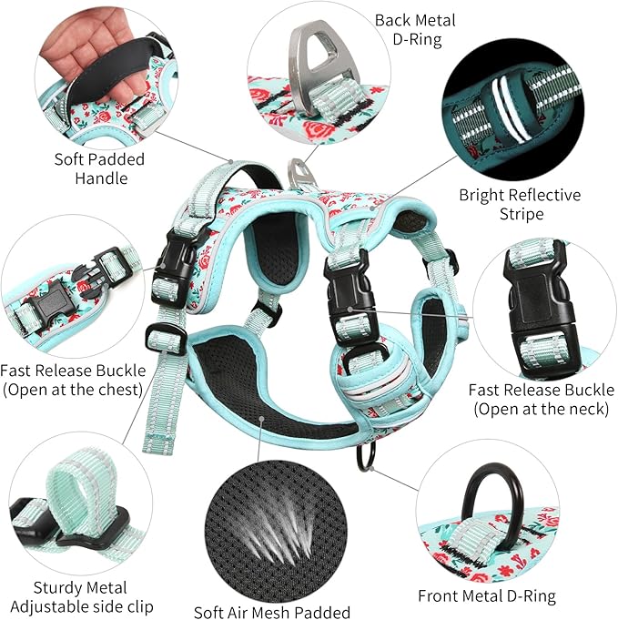 Timos Dog Harness, 3 Snap Buckles No-Pull Soft Padded Dog Vest with 2 Metal Leash Clips,Adjustable Reflective No Choke Pet Harness with Easy Control Handle for Small Dogs,Cyan,S-Mewly Pet