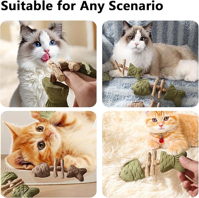 3 Pack Catnip Toys, Healthy Cat & Kitten Teeth Cleaning Dental Chew Toy, Contain Catnip, Natural Silvervine, and Gall Fruit, Interactive Cat Toys for Indoor Cats, are Edible for All Cats Breeds-Mewly Pet