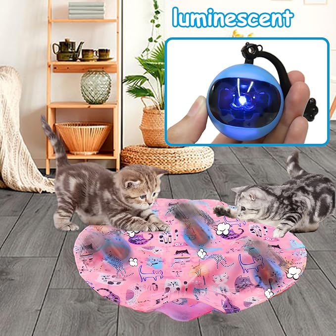 Mity Rain Interactive Cat Toy - Ball for Indoor Jumping and Rolling in Pouch, Hide and Seek Mat for Self Play, Boredom Relief and Activating Natural Hunting Instincts - Kitten Toys-Mewly Pet