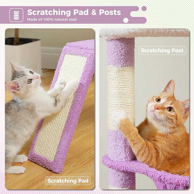 PEQULTI 36.5'' Cat Tree for Indoor Cats, Small Cat Tower with Large Cat Condo, Scratching Posts, Cozy Hammock and Scratching Ladder for Kittens, Purple-Mewly Pet