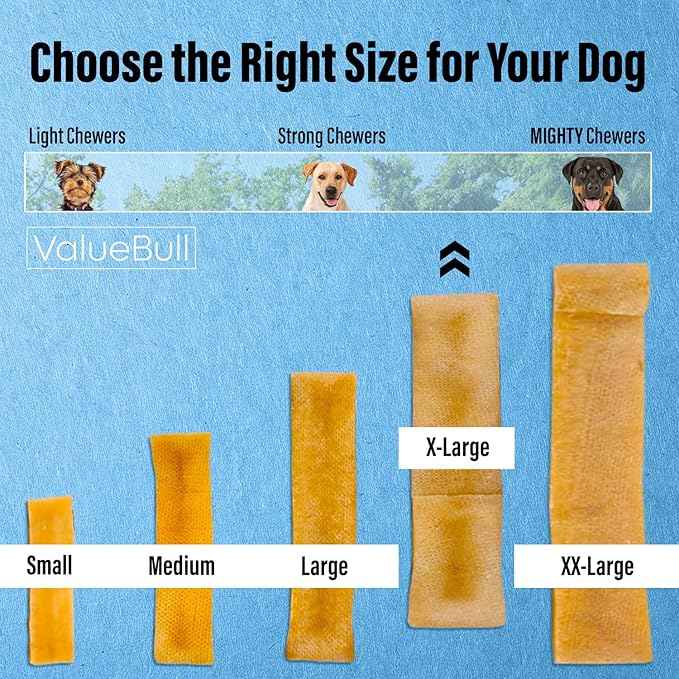 ValueBull Himalayan Yak Cheese Dog Chews, Extra Large, 10 ct - Long Lasting for Aggressive Chewers, All Natural, Healthy & Safe, Low Odor Nepal Yak Milk Chews-Mewly Pet