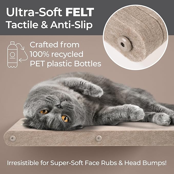 Wall Mounted Cat Perch Long Shelf by Pryde Pets - Floating Hammock Bed, 100% Sustainable PET Felt Feline Enrichment Climber Furniture for Indoor Cats, Modern Climbing Gym Jungle Design (Oatmeal)-Mewly Pet