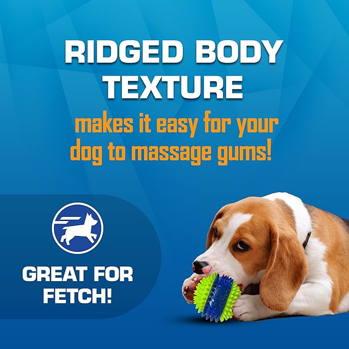 Nerf Dog Toy Gift Set, 3-Piece Set of Outdoor Dog Toys for Fetch, Includes Checker Crunch Ball, Spike LED Squeak Ball and Tire Squeak Football-Mewly Pet