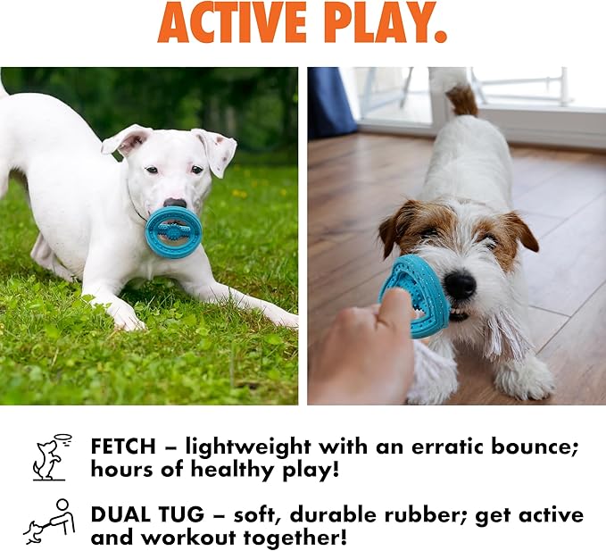 Max Fusion with Nike Grind, Arlee Phoneix Dog Toy, Chew Toy for Play, Fetch, Tug, M-Mewly Pet