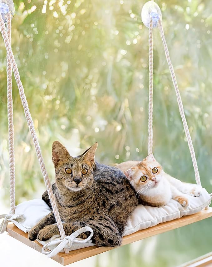 Cat Window Perch for Large Cats - Hammock Bed for Heavy Indoor Cats - Solid Wood Seat, 5 Strong Suction Cups, Soft Cushion - Rustic Shelf for Pets Inside-Mewly Pet