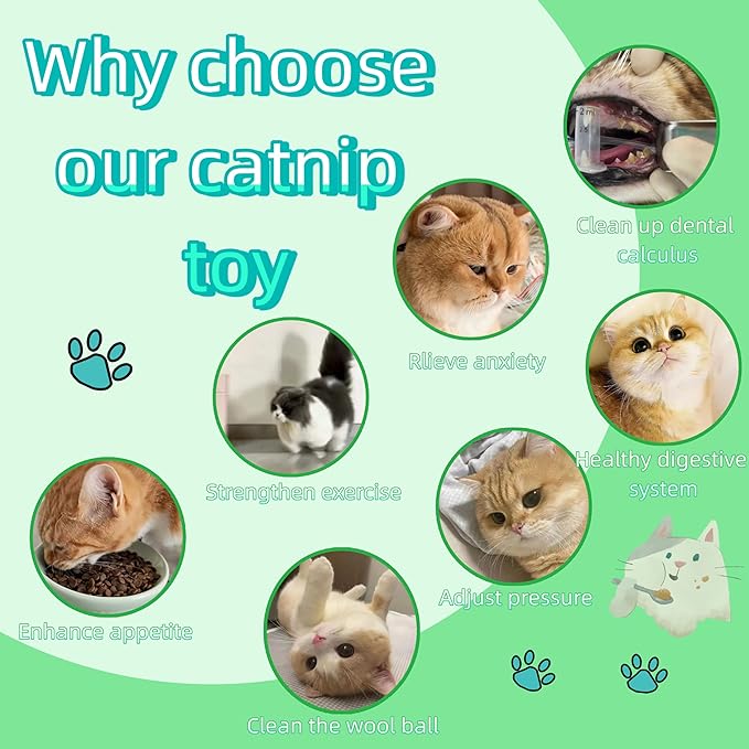 Natural Cat Toys Set with Catnip Fish & Bone,Catnip Plush Toy & Natural Silvervine Stick Cage Balls & cat nip for Cats Lolipop, 8-Piece cat Toys for Indoor Cats Interactive Pet Toys-Mewly Pet