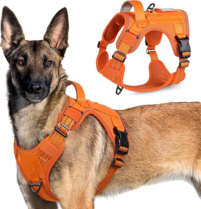 rabbitgoo Tactical Dog Harness for Large Dogs, No Pull Military Service Vest with Handle & Molle, Easy Control for Training Walking, Adjustable Reflective Straps, Orange, XL-Mewly Pet