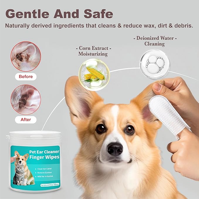 Cat Steam Brush, Dog Brush for Shedding, Pet Spray Hair Removal Comb, Pet Brush for Short & Long Hair, USB Rechargeable Grooming Supplies, Spritz Defur Comb with Finger Wipe for Teeth (White)-Mewly Pet