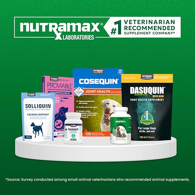 Nutramax Solliquin Calming Behavioral Health Supplement for Small to Medium Dogs and Cats - With L-Theanine, Magnolia / Phellodendron, and Whey Protein Concentrate, 75 Soft Chews-Mewly Pet