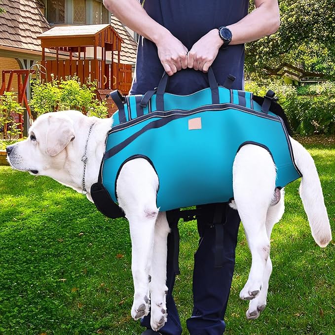 Dog Lift Harness Backpack Carrier for Large Dogs, Full Body Sling with Handle, Dog Harness for Joint Injuries, Arthritis, Ideal for Stairs, Elderly Dogs (Blue XX-Large 50-66 LBS)-Mewly Pet