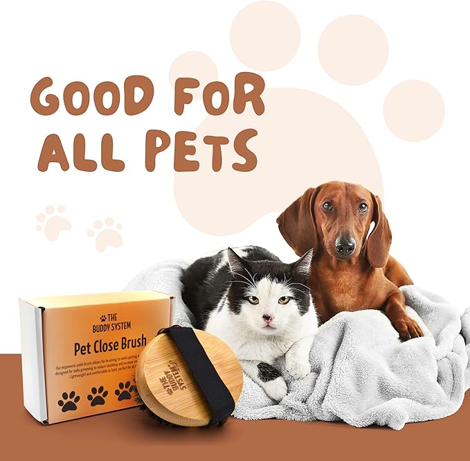 The Buddy System Pet Close Brush, Soft Touch Oval Palm Brush - Bamboo Massage Handheld with Soft Boar Bristles and Elastic Band for Dogs and Cats 2 Pack-Mewly Pet