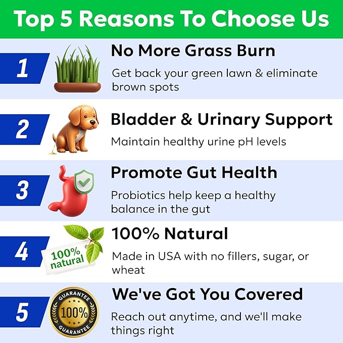 BARK&SPARK Green Grass Chews - Pee Grass Spot Saver Caused by Dog Urine - Urine Neutralizer for Lawn, Gut Health Probiotics & Digestive Enzymes,Lawn Burn from Dog Urine, Grass Burn Spot Chews (240Ct)-Mewly Pet