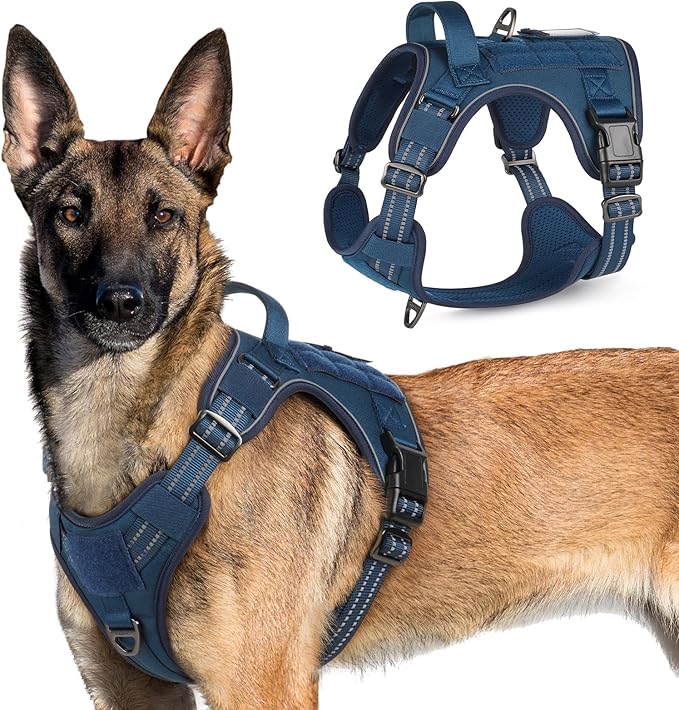 rabbitgoo Tactical Dog Harness for Large Dogs, No Pull Military Service Vest with Handle & Molle, Easy Control for Training Walking, Adjustable Reflective Straps, Blue, XL-Mewly Pet